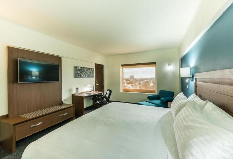 Номер Премиум, Holiday Inn Guadalajara Expo Plaza Del Sol, An Ihg