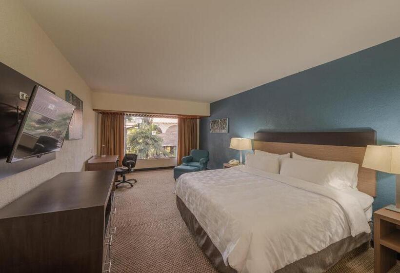 Номер Стандарт Вид на Сад, Holiday Inn Guadalajara Expo Plaza Del Sol, An Ihg