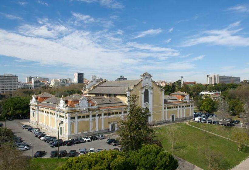 Номер Стандарт, Miraparque