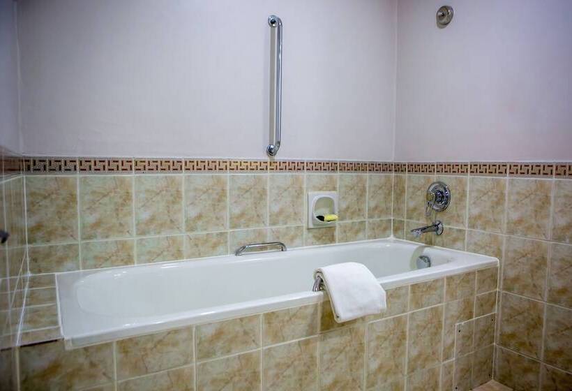 اتاق استاندارد با 2 تخت دوبل, Holiday Inn   Harare, An Ihg