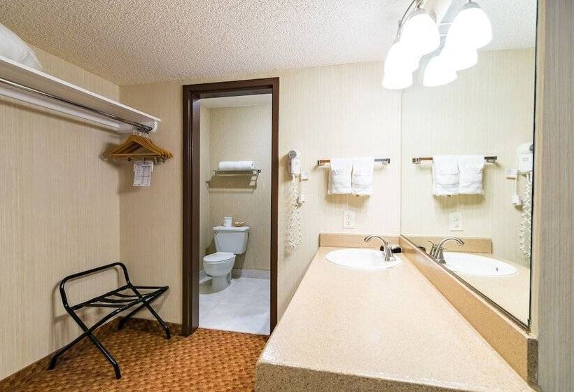 سوییت, Surestay Plus Hotel By Best Western Reno Airport