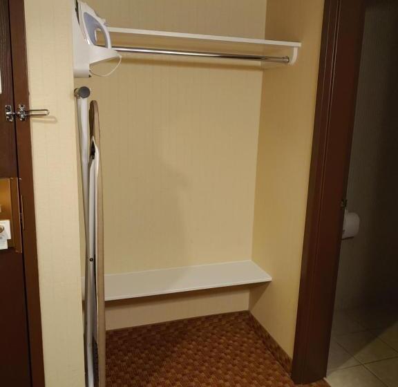 اتاق لوکس با تخت بزرگ, Surestay Plus Hotel By Best Western Reno Airport