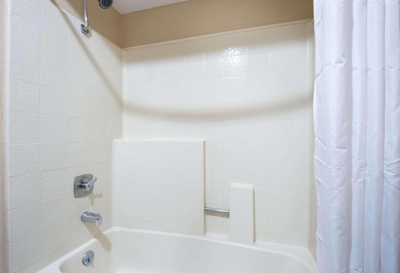 اتاق استاندارد با تخت بزرگ, Surestay Plus Hotel By Best Western Reno Airport