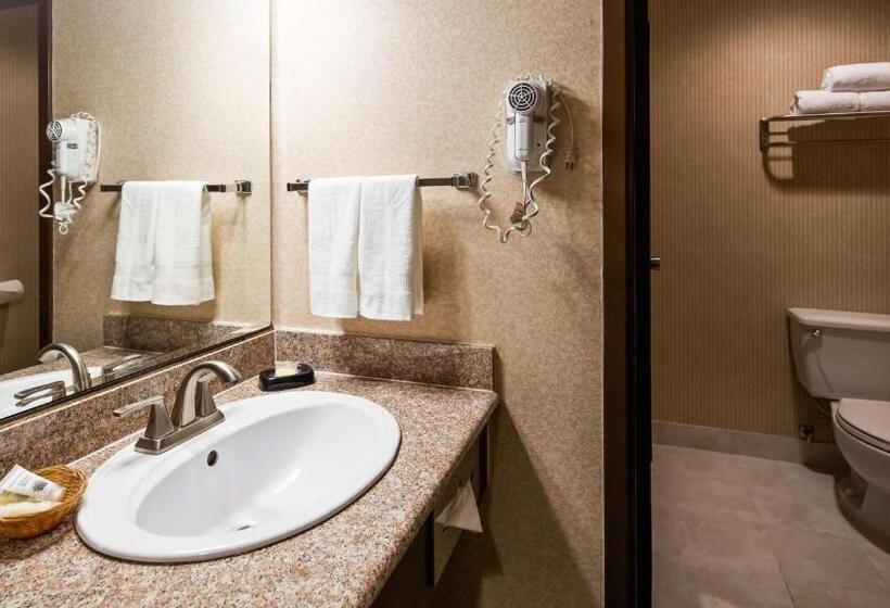 اتاق استاندارد با تخت بزرگ, Surestay Plus Hotel By Best Western Reno Airport