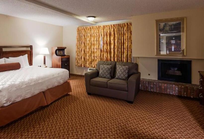 سوئیت با تخت بزرگ, Surestay Plus Hotel By Best Western Reno Airport