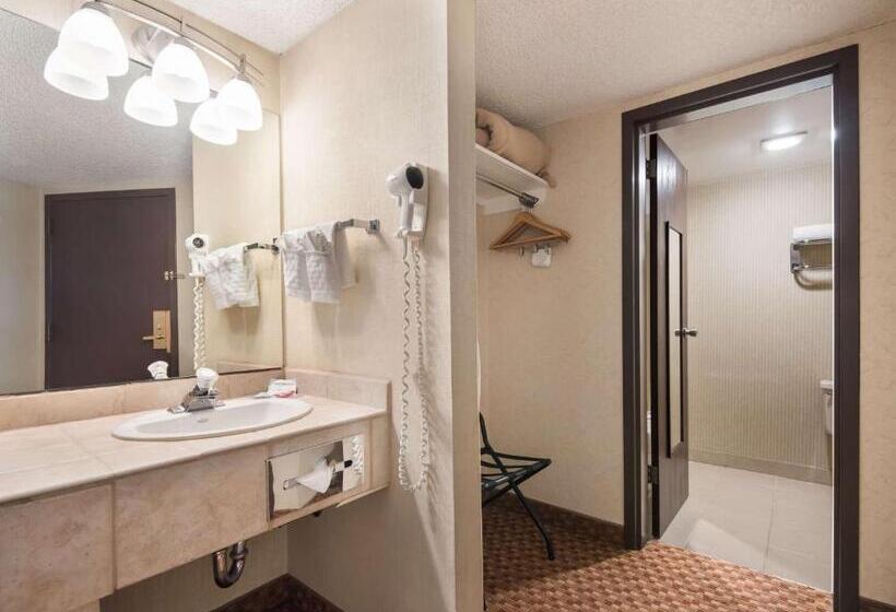 اتاق استاندارد, Surestay Plus Hotel By Best Western Reno Airport