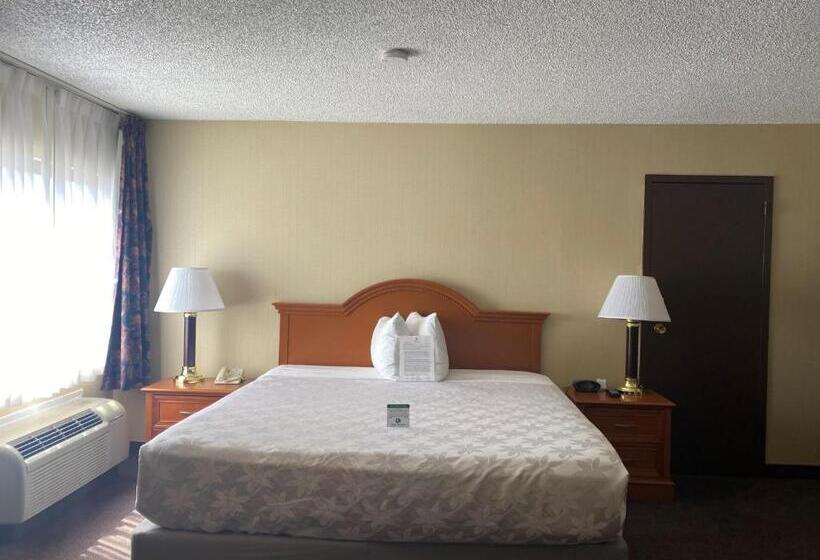 اتاق استاندارد با تخت بزرگ برای معلولان, Surestay Plus Hotel By Best Western Reno Airport