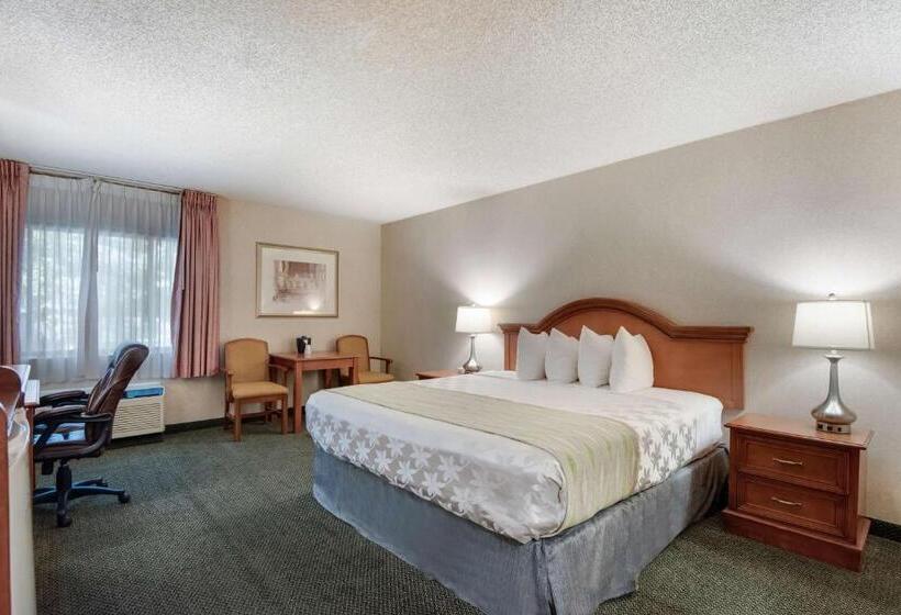 اتاق استاندارد با تخت بزرگ, Surestay Plus Hotel By Best Western Reno Airport
