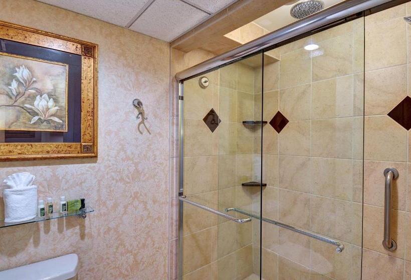سوئیت با تخت بزرگ, Eden Resort And Suites, Bw Premier Collection