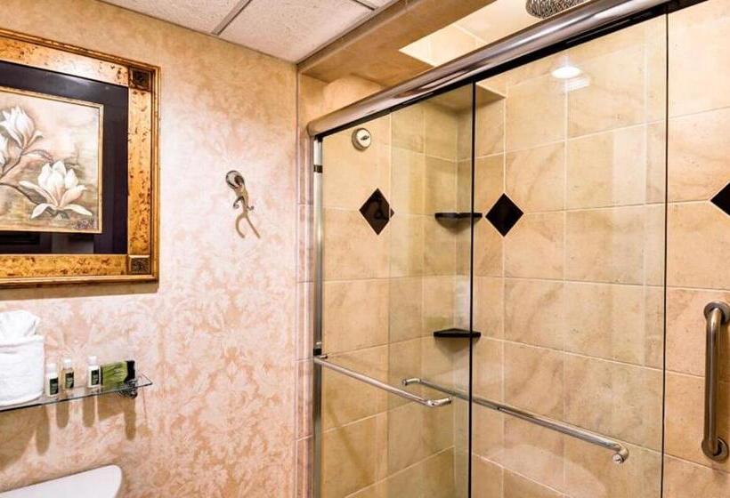 اتاق استاندارد با تخت بزرگ, Eden Resort And Suites, Bw Premier Collection