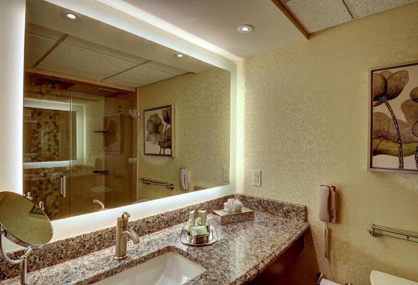 اتاق استاندارد با تخت بزرگ, Eden Resort And Suites, Bw Premier Collection