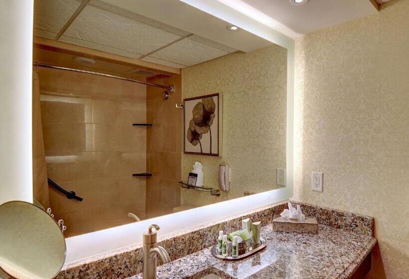 اتاق استاندارد اینتریور, Eden Resort And Suites, Bw Premier Collection