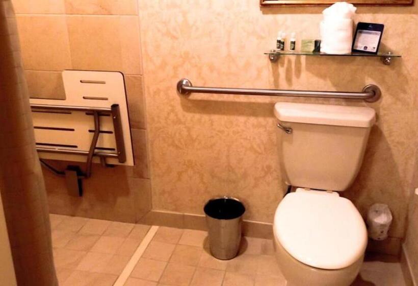اتاق استاندارد با تخت بزرگ برای معلولان, Eden Resort And Suites, Bw Premier Collection