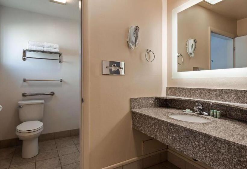 Номер Стандарт Кровать Квин Адаптированный для Инвалидов, Best Western Paradise Inn