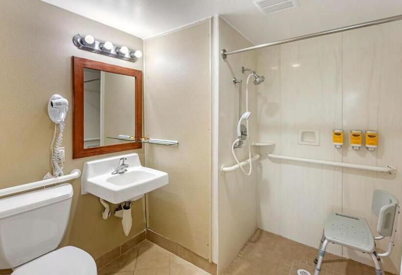 Номер Стандарт Кровать Кинг Адаптированный для Инвалидов, Best Western Plus Burley Inn & Convention Center
