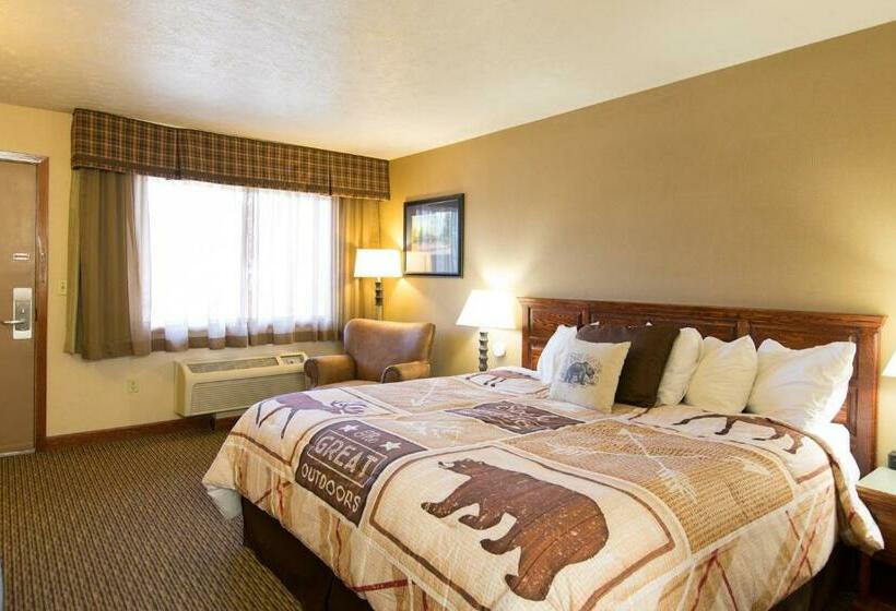 스탠다드 룸 킹사이즈 침대, Crosswinds Inn