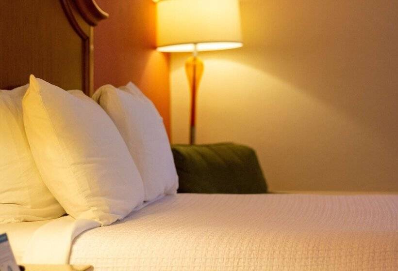 스위트, Best Western Plus A Wayfarer S Inn & Suites