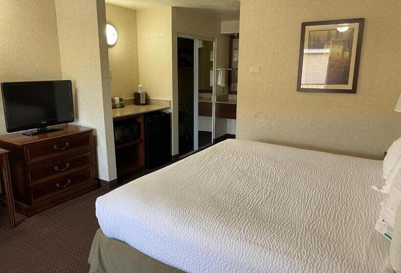 스탠다드 룸 킹사이즈 침대, Best Western Plus Weston Inn