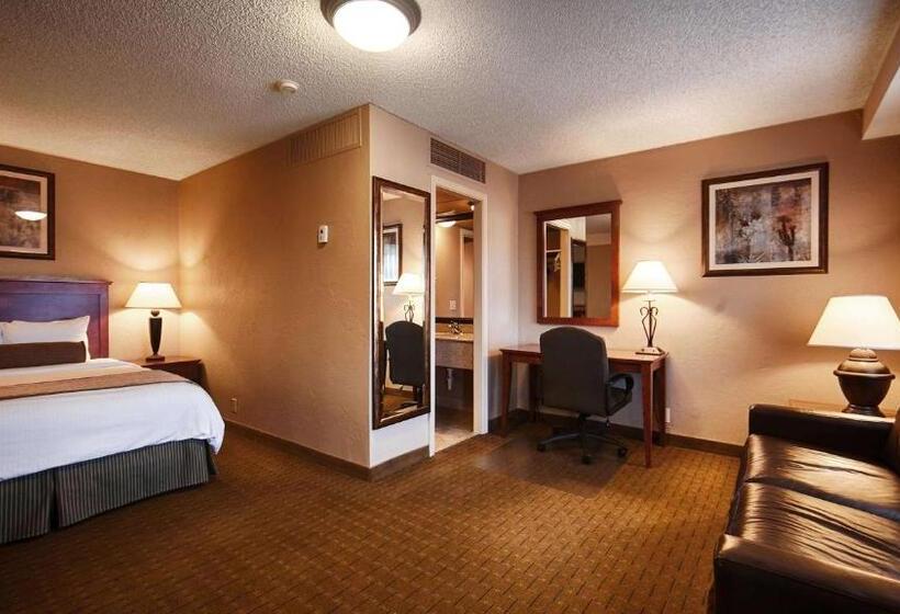 اتاق استاندارد, Best Western Vista Inn At The Airport