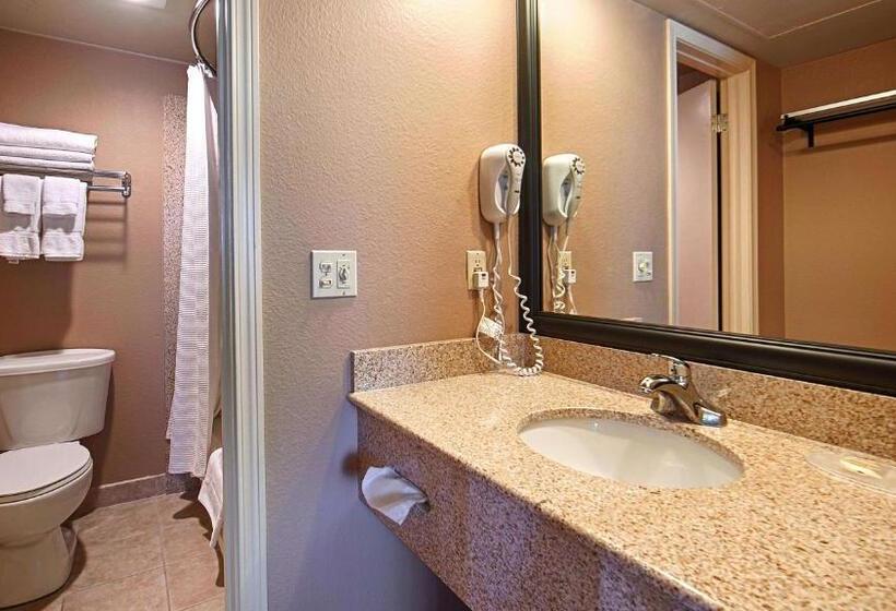 اتاق استاندارد برای معلولان, Best Western Vista Inn At The Airport