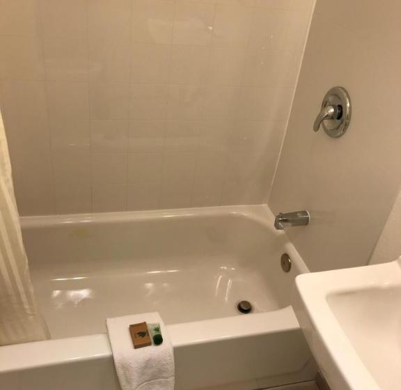 스탠다드 룸, Canyonlands Motor Inn
