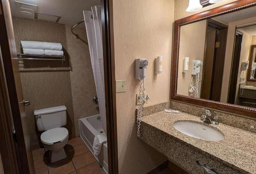스탠다드 룸, Comfort Inn Near Vail Beaver Creek