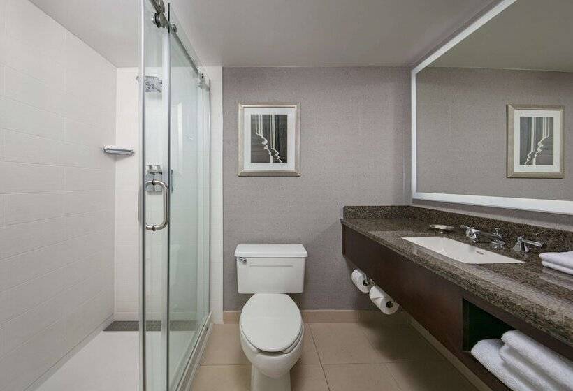 سوییت, Sonesta Charlotte Lower South End