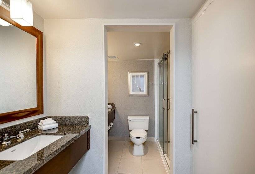 اتاق لوکس, Sonesta Charlotte Lower South End