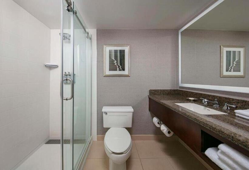اتاق اجرایی با تخت بزرگ, Sonesta Charlotte Lower South End