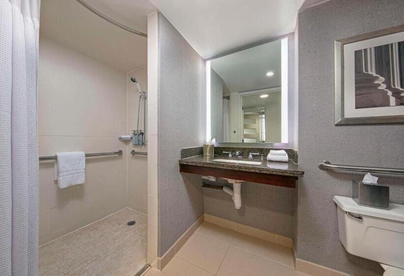 اتاق دلوکس مخصوص معلولین, Sonesta Charlotte Lower South End