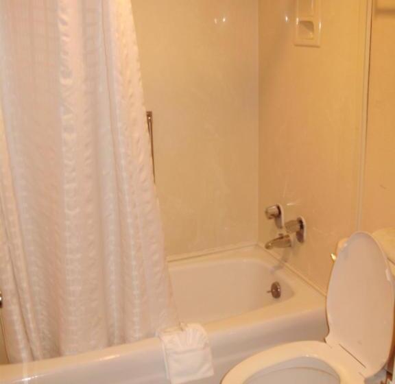 اتاق استاندارد, Trade Winds Central Inn