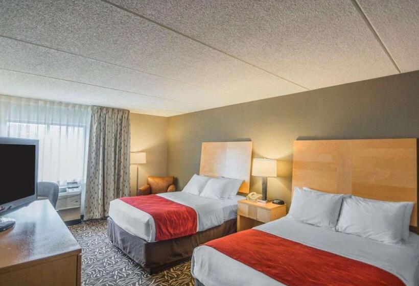 Номер Стандарт 2 Двуспальные Кровати, Comfort Inn   Nys Fairgrounds