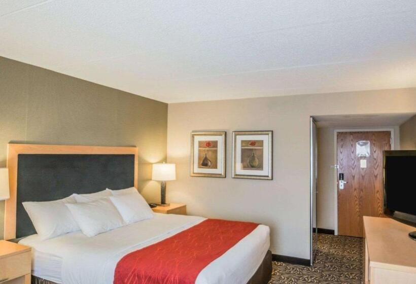 Стандартный Номер Кровать Кинг, Comfort Inn   Nys Fairgrounds