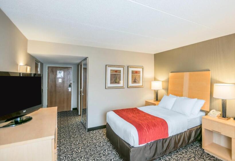 Номер Стандарт Адаптированный для Инвалидов, Comfort Inn   Nys Fairgrounds