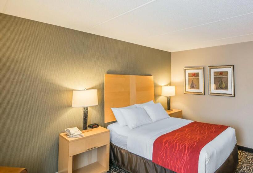 Номер Стандарт Адаптированный для Инвалидов, Comfort Inn   Nys Fairgrounds