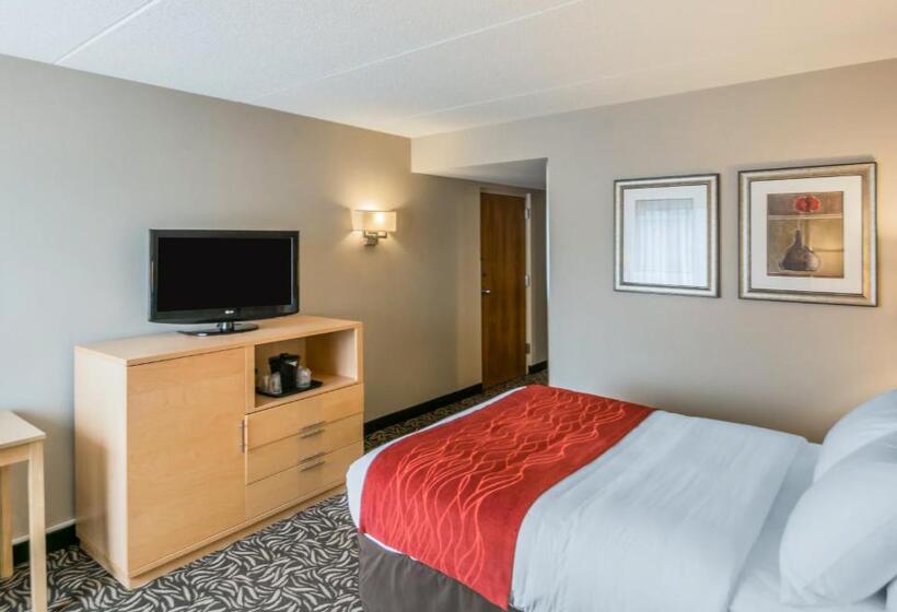 Номер Стандарт Двуспальная Кровать Адаптированный для Инвалидов, Comfort Inn   Nys Fairgrounds