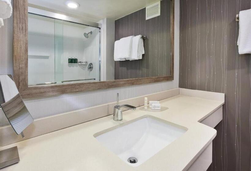 Номер Deluxe Адаптированный для Инвалидов, Courtyard By Marriott Secaucus Meadowlands