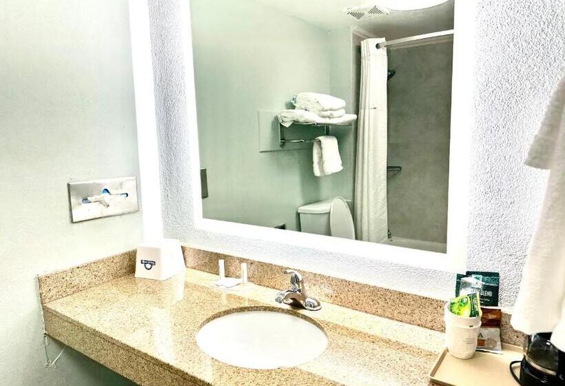 Стандартный Номер Кровать Кинг, Days Inn By Wyndham Pensacola  Historic Downtown