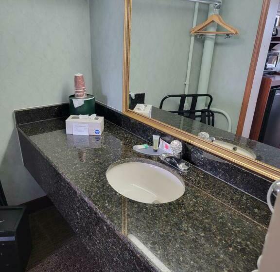 اتاق استاندارد با 2 تخت دوبل, Downtown Inn