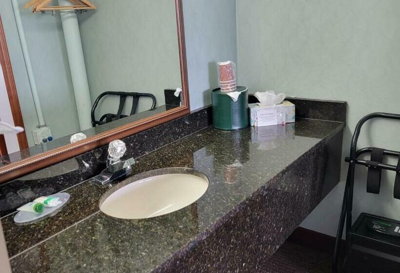 اتاق استاندارد با تخت بزرگ, Downtown Inn