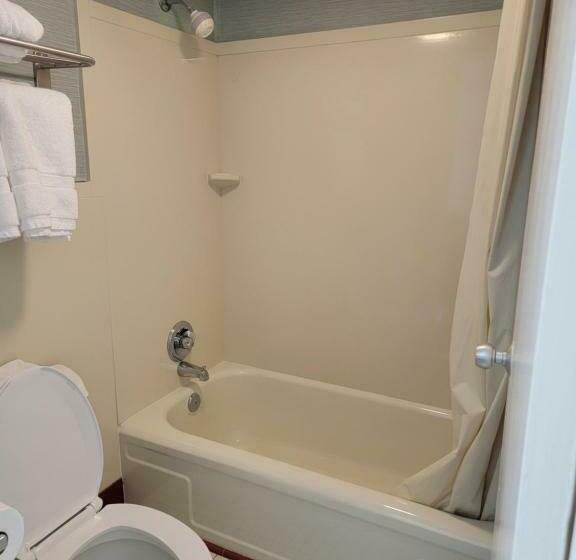 اتاق استاندارد با تخت بزرگ, Downtown Inn