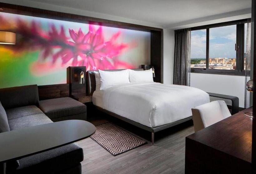 带大床的标准间, Miami Marriott Dadeland