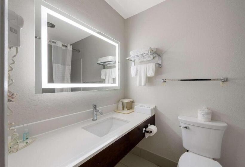 스탠다드 룸 더블 침대 2개, Quality Inn University Area