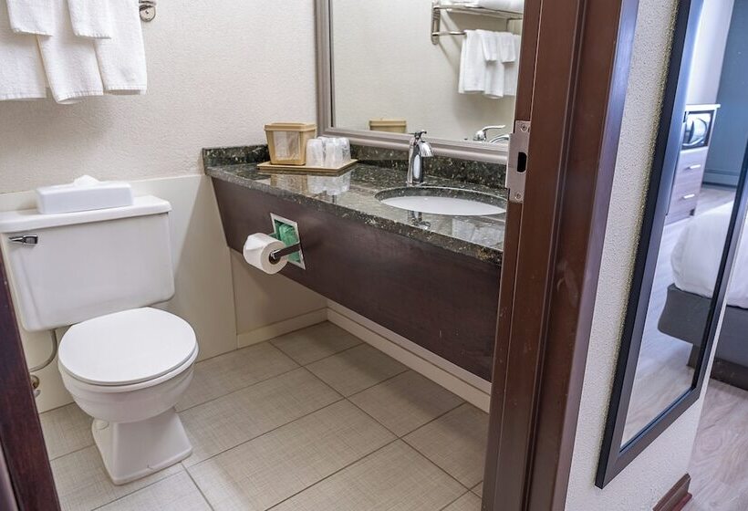 Quarto Estandar 2 Camas Casal, Quality Inn Milansandusky
