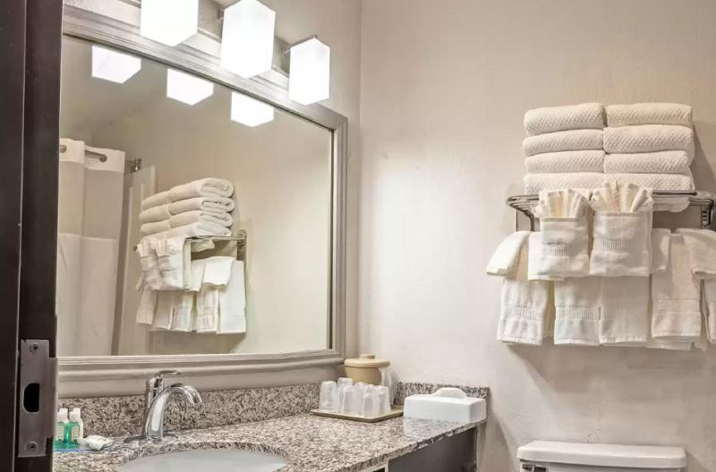 장애인을 위한 킹사이즈 침대 스탠다드 룸, Quality Inn Milansandusky