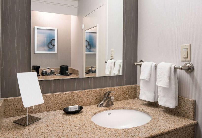 풀장 전망 디럭스 룸, Sonesta Select Los Angeles Lax El Segundo