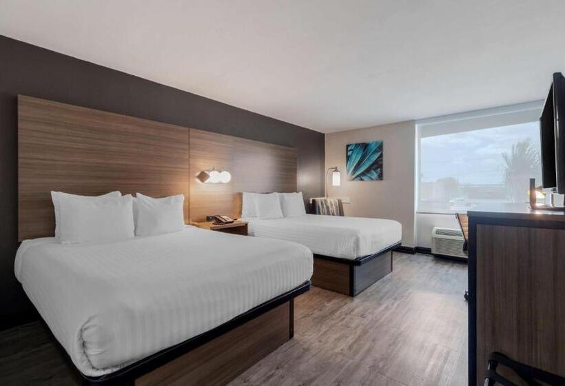 스탠다드 룸, Best Western Corpus Christi Airport