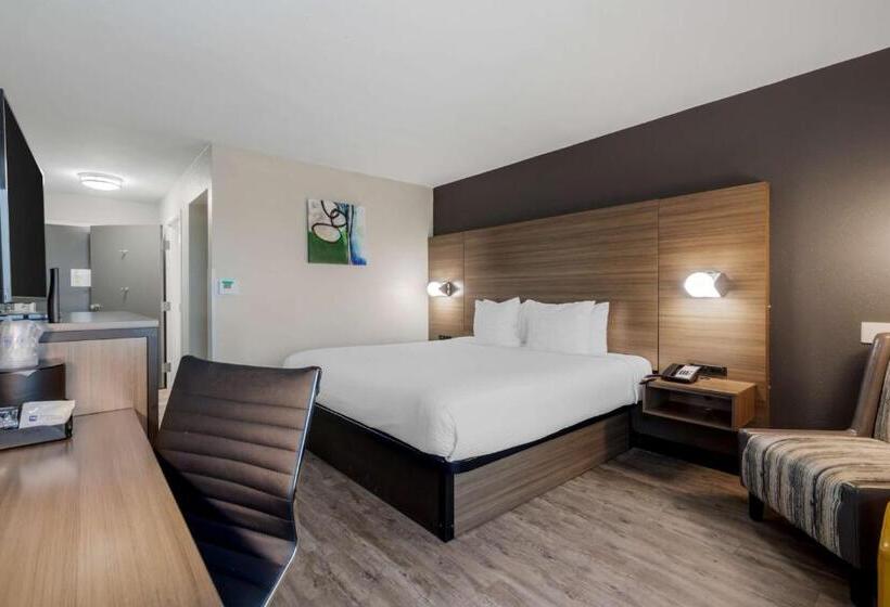 스탠다드 룸 킹사이즈 침대, Best Western Corpus Christi Airport