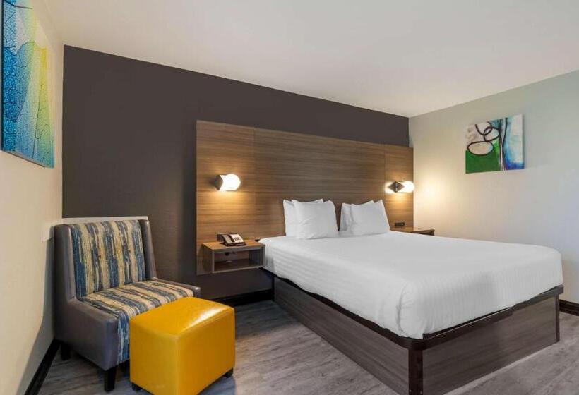 장애인을 위한 킹사이즈 침대 스탠다드 룸, Best Western Corpus Christi Airport