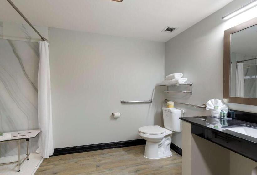 장애인을 위한 킹사이즈 침대 스탠다드 룸, Best Western Corpus Christi Airport